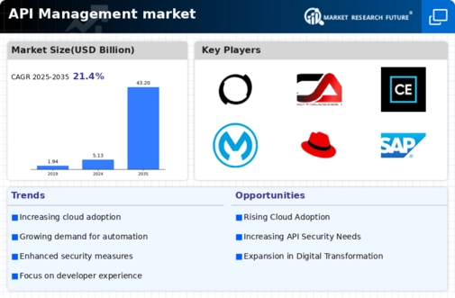 API Management Market Infographic