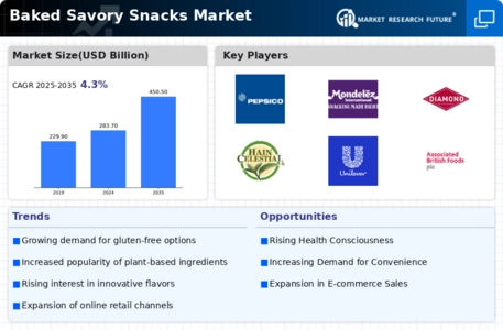 Baked Savory Snacks Market
 Infographic