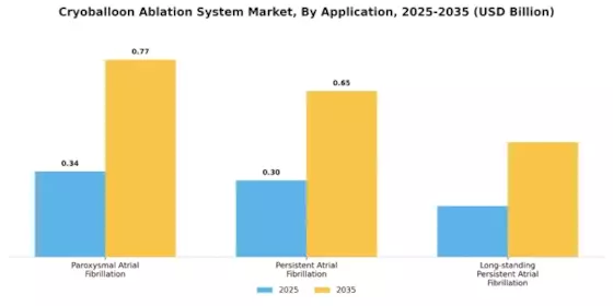 Cryoballoon Ablation System Market Segment Image 2
