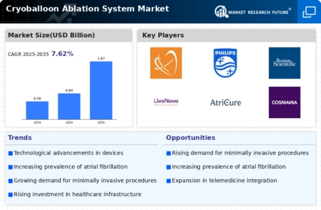 Cryoballoon Ablation System Market Infographic