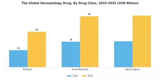 Dermatology Drug Market Segment Image 0