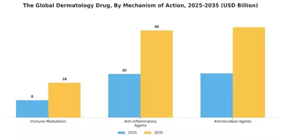 Dermatology Drug Market Segment Image 1
