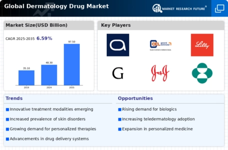 Dermatology Drug Market Infographic