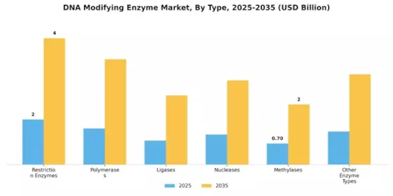 DNA Modifying Enzyme Market Segment Image 0