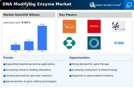 DNA Modifying Enzyme Market Infographic