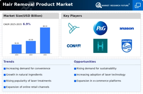Hair Removal Product Market
 Infographic
