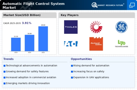 Automatic Flight Control System Market
 Infographic