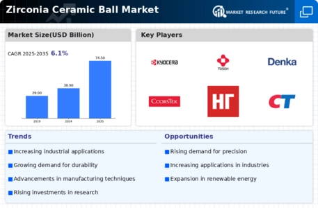 Zirconia Ceramic Ball Market Infographic