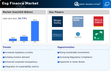 Esg Finance Market Infographic
