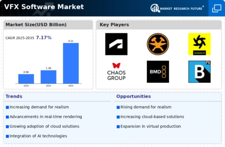Vfx Software Market Infographic