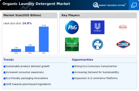 Organic Laundry Detergent Market Infographic
