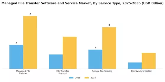 Managed File Transfer Software Service Market Segment Image 3