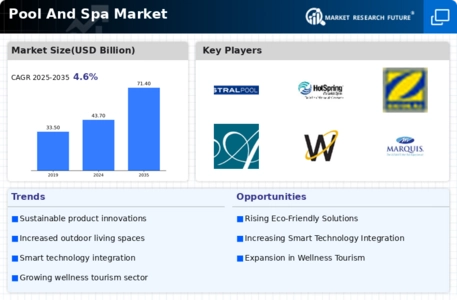 Pool Spa Market Infographic