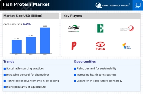 Fish Protein Market Infographic