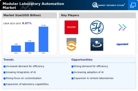 Modular Laboratory Automation Market  Infographic