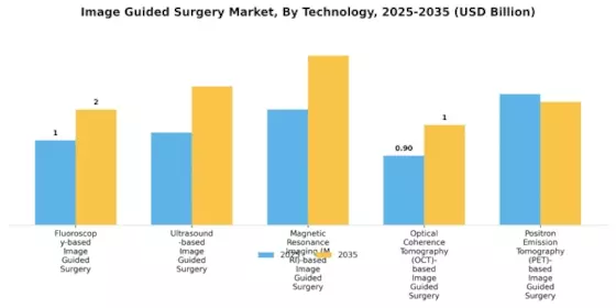 Image Guided Surgery Market Segment Image 0