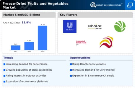 Freeze Dried Fruits Vegetables Market Infographic