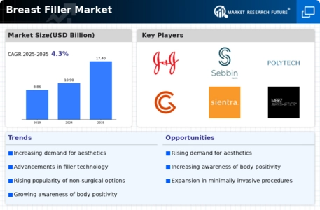 Breast Filler Market Infographic