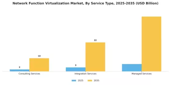 Network function virtualization Market Segment Image 2