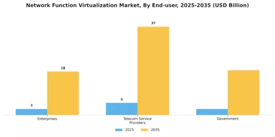 Network function virtualization Market Segment Image 3