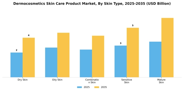 Dermocosmetics Skin Care Product Market Segment Image 2