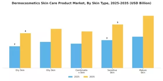 Dermocosmetics Skin Care Product Market Segment Image 1