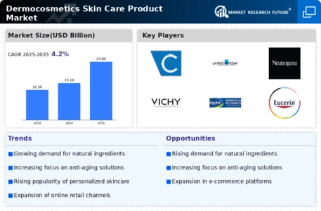 Dermocosmetics Skin Care Product Market Infographic