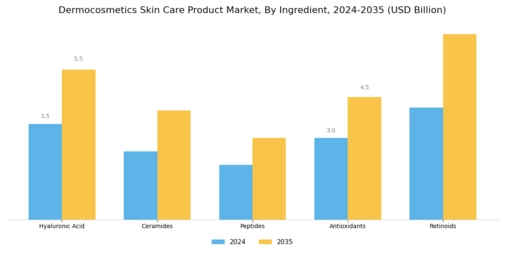 Dermocosmetics Skin Care Product Market Segment Image 3