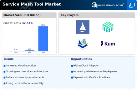 Service Mesh Tool Market Infographic