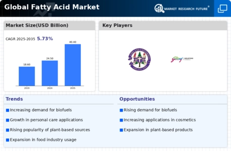 Fatty Acid Market Infographic