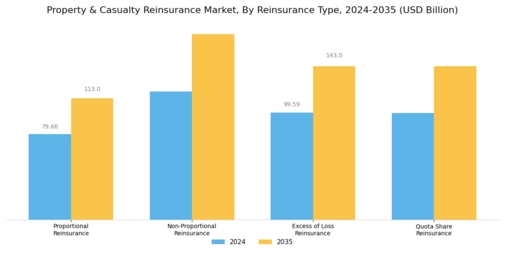 Property Casualty Reinsurance Market Segment Image 4
