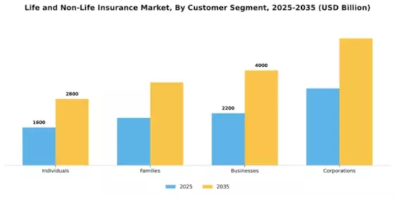 Life And Non-Life Insurance Market Segment Image 0