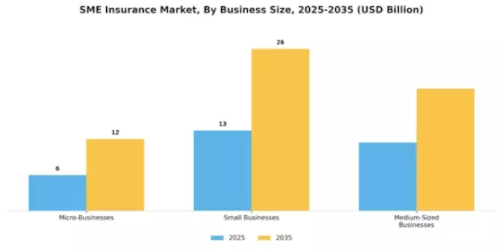 SME Insurance Market Segment Image 1