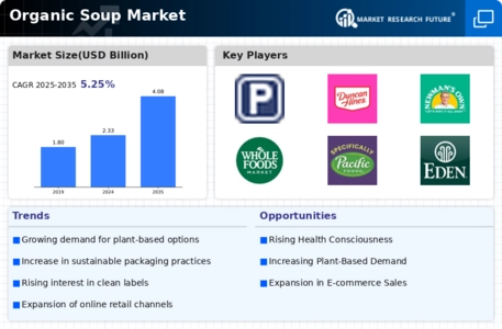 Organic Soup Market Infographic
