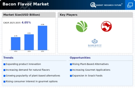 Bacon Flavor Market Infographic