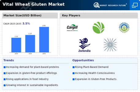 Vital Wheat Gluten Market Infographic