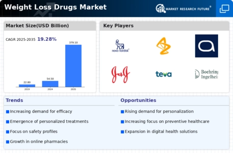 Weight Loss Drugs Market  Infographic