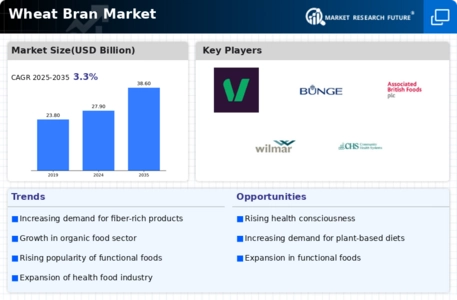 Wheat Bran Market Infographic