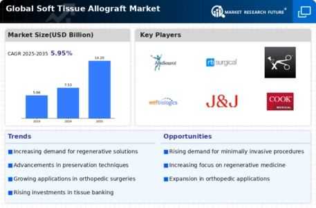 Soft Tissue Allograft Market
 Infographic