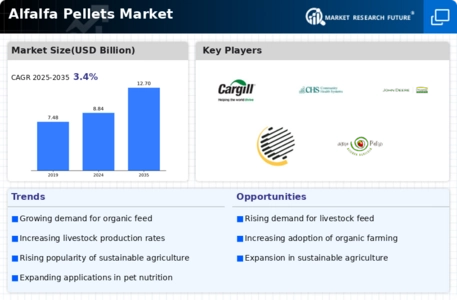 Alfalfa Pellets Market Infographic