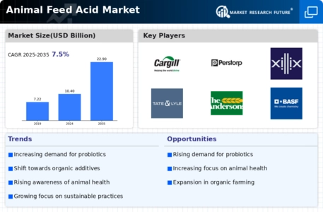 Animal Feed Acid Market Infographic