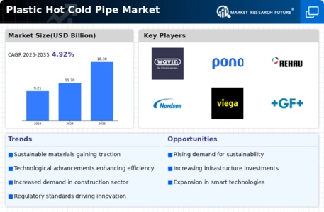  Plastic Hot Cold Pipe Market Infographic