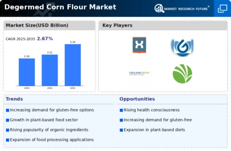 Degermed Corn Flour Market  Infographic