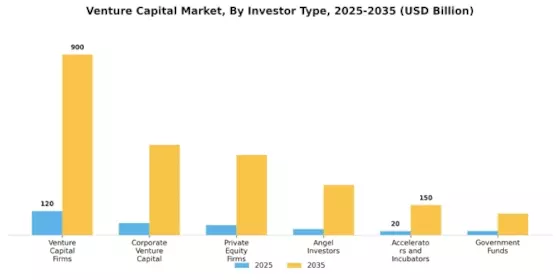 Venture Capital Market Segment Image 3