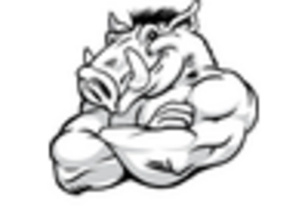 Composite Pallet Market key player