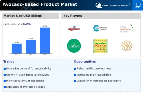 Avocado-Based Product Market Infographic