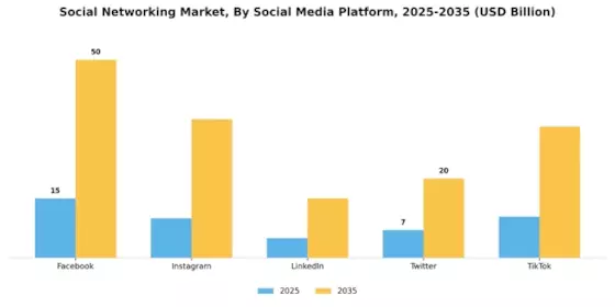 Social Networking Market Segment Image 1
