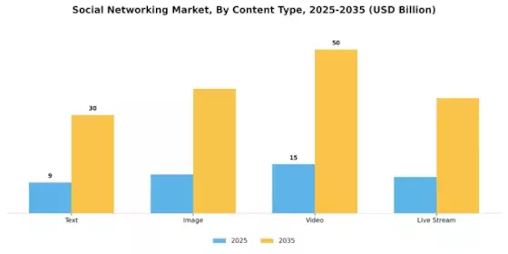 Social Networking Market Segment Image 2
