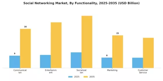 Social Networking Market Segment Image 3