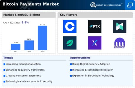 Bitcoin Payments Market Infographic